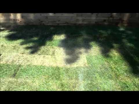 How To Care For Sod-DIY Landscaping