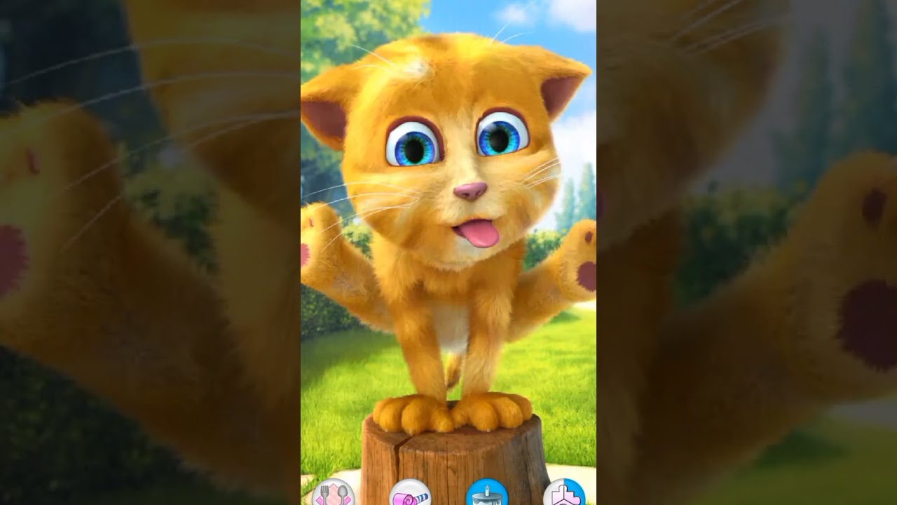 Talking Ginger’s Birthday Party! 🎉🎂🐾