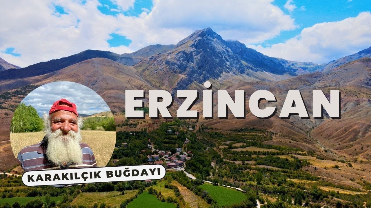 В этой деревне растет старейшая пшеница Анатолии! (село Кыличкая)