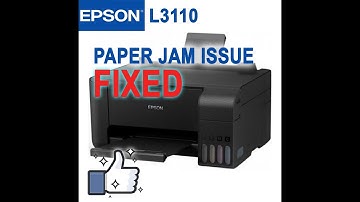 All EPSON PRINTER L3110 L110 L120 etc. repeated paper Jam 2021 fixed
