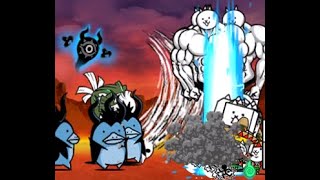 WRATH OF BEEFCAKE CAT