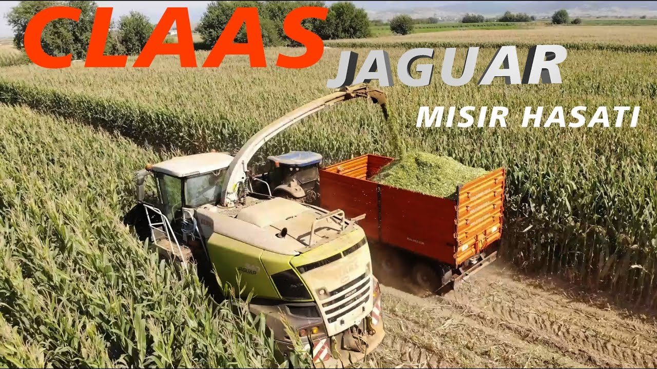 Mısır Silajı Claas Jaguar ve Erdallar Römork ile Efsane Hasat