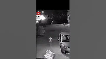 في أساطير كونغ فو باندا Cat قطط 