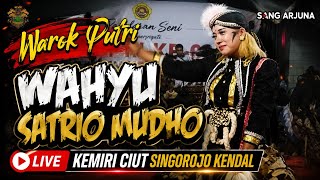warok Putri WSM Banjaran Wahyu Satrio mudho live kemiri ciut Singorojo Kendal