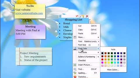 Windows: Modify sticky notes fonts, colors, skins & format text in Notezilla for Windows