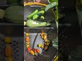 harvest veggies are starting to roll in