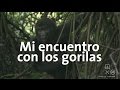 Mi encuentro cercano con los gorilas | Uganda y Ruanda #6