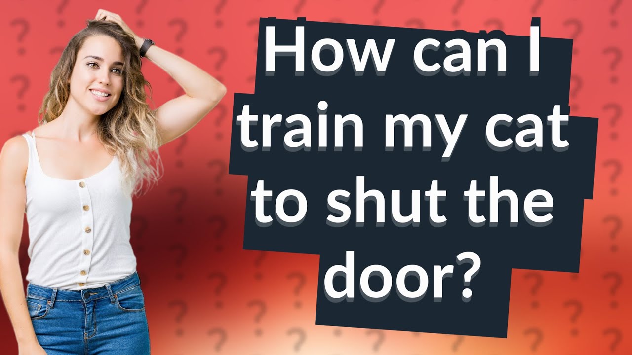 How can I train my cat to shut the door? YouTube