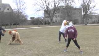 March Mania 2013
