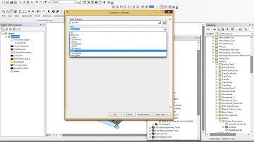 Convert Feature to Raster