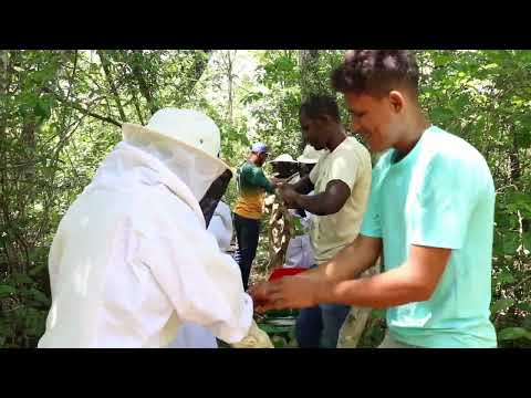 Iniciativas Sustentáveis no Território Kalunga 2