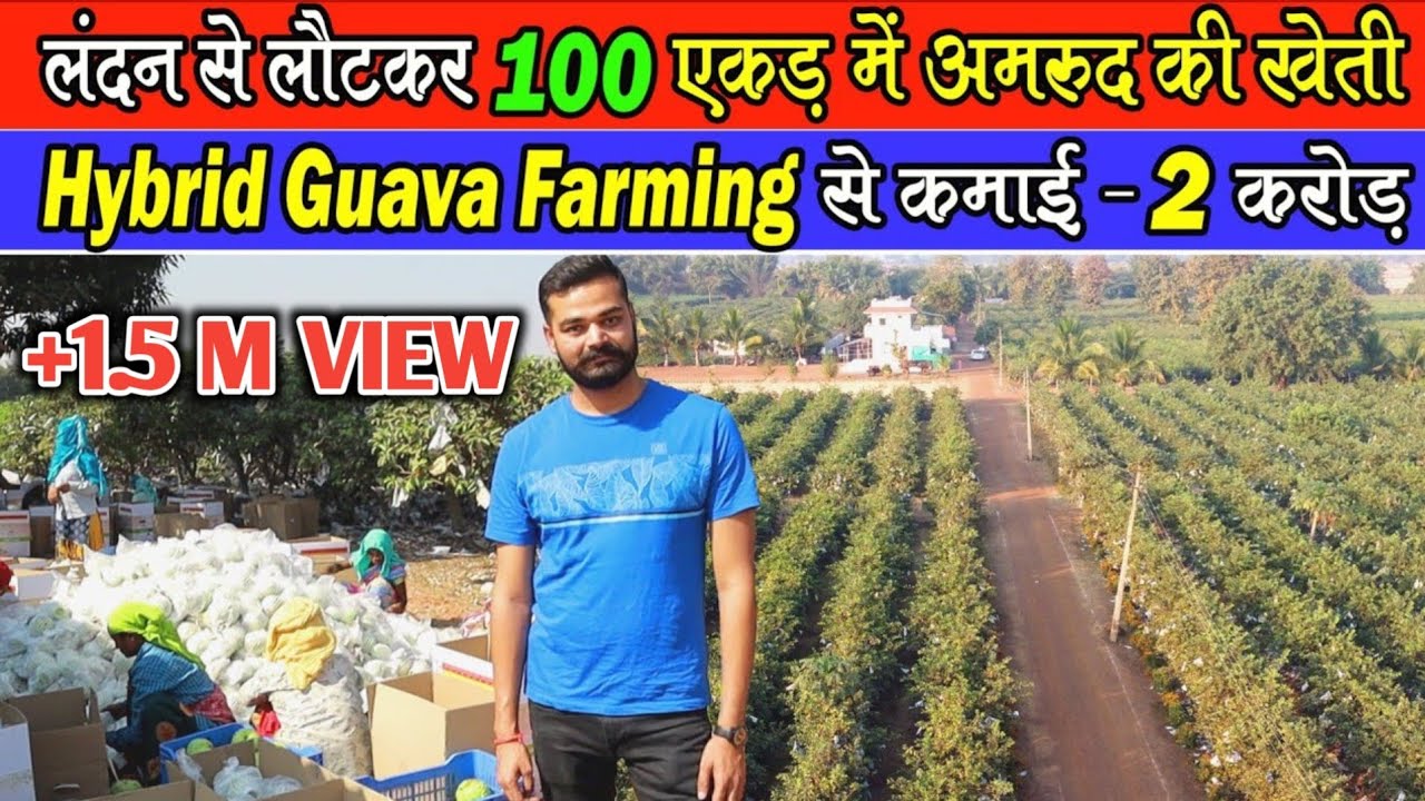 लंदन से लौटकर 100 एकड़ में 