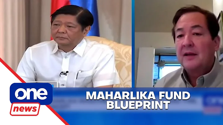 Investment banker: clarify purpose, management and funding of MIF