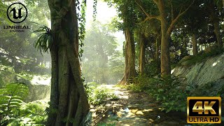 4K 2080Ti Virtual Rain Forest Walkthrough - Unreal Engine 5 Demo