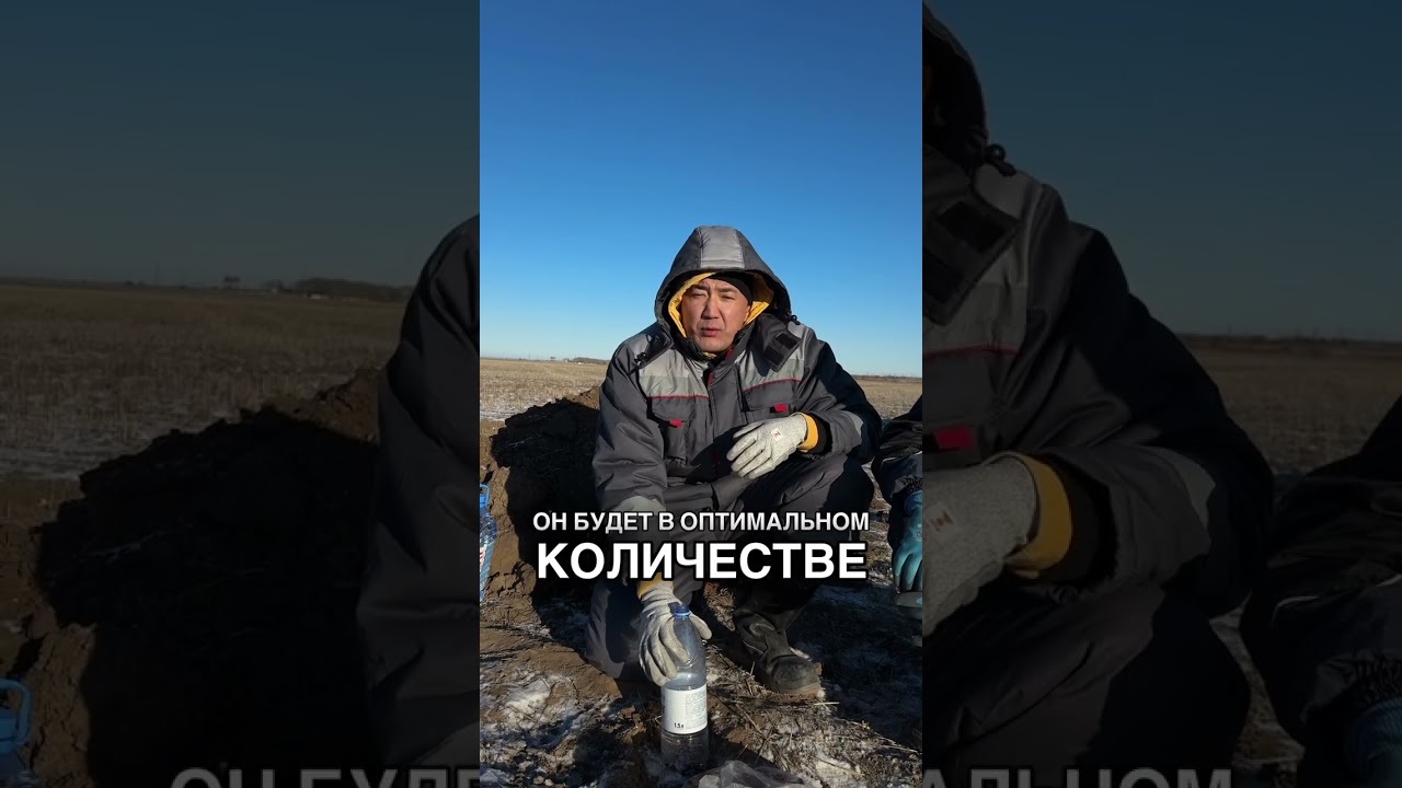 Подведение Итогов по проведенному визуальному осмотру почвы,качественным реакциям на засоленность .