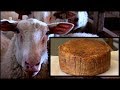 Ancient Heritage Dairy: The Art of Sheep Cheese Making