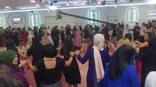 Grup Türkiyem Halay Dügün Orkestra Almanya 00491716816491