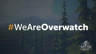 WeAreOverwatch | Поздравления от игроков с годовщиной Overwatch