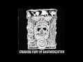 Plf  crushing fury of bastardization 2008 full album hq grindcore