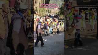 The Secret Serpent Festival of Kullu! 🐍 #Himachal #travel