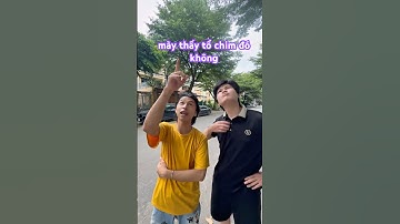 Thằng bạn không tin cá sấu khổng lồ sắp xuất hiện và cái kết.#support #haihuoc #shortvideo