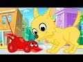 Morphle en Français | Morphle la voiture de course et les animaux géants | Dessin Animé