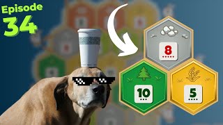 Catan Pro Plays A BALANCED 5 Resource Setup In Ranked