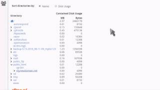 How to Use the Disk Space Usage Tool in cPanel - cPanel How-to - Rad Web Hosting