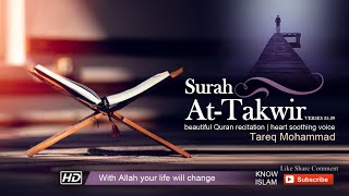 Surah Attakwir Ayah 2529  Reciter Tariq Muhammad  Quran English Whatsapp Status