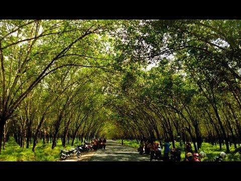 89 Gambar Alam Lampung Paling Hist 89 Gambar Alam Lampung Paling Hist