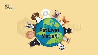 A 2D animation explainer video for EZ Pet Part 2 by Webdew- #WebdewVideoPortfolio