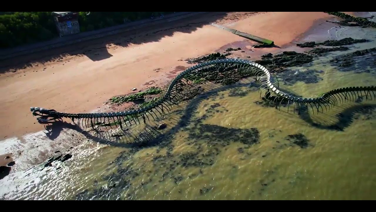 Giant Snake Skeleton