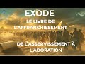 Moment de répit - EXODE, LE LIVRE DE L'AFFRANCHISSEMENT - 16 juillet 2025