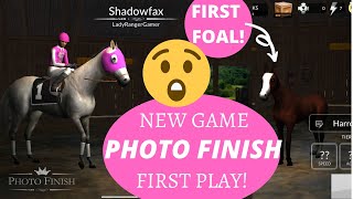 First foal and winning our first major event! Photo Finish! New horse racing app is REALLY FUN! screenshot 4