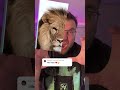 What animal are you?