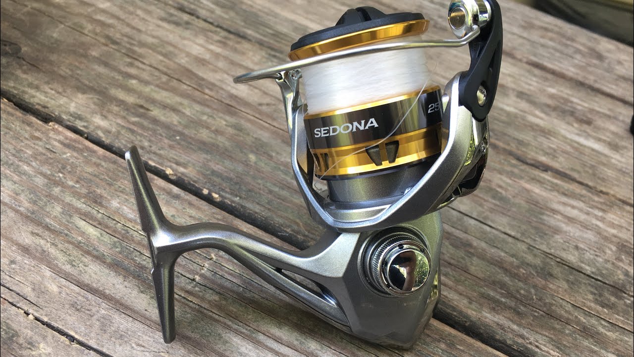 Shimano sedona 2500hg review Clearance