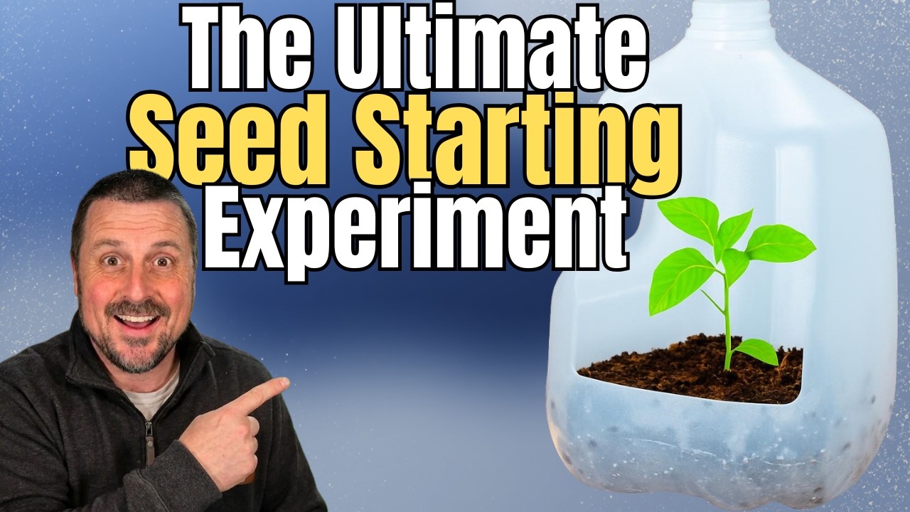 Milk Jugs vs. Grow Lights: The Ultimate Seed Starting Test