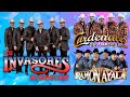 Los Traileros Del Norte, Ramon Ayala, Invasores De Nuevo León, Cardenales de Nuevo León