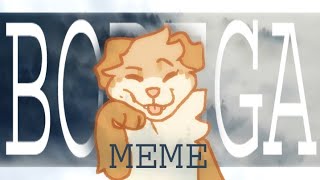 ✦ bodega ✦ (birthday meme!!)