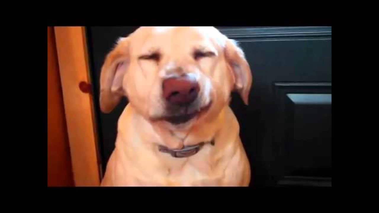 Fotos de amor: Imagens lindas de amor. - Muito Fotos de amor: Imagens lindas de amor. - Muito