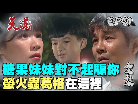 天道 EP51 完整版｜螢火蟲哥哥糖果妹妹相認啦｜FIGHT FOR JUSTICE｜【PP塑崩褲氣動版】