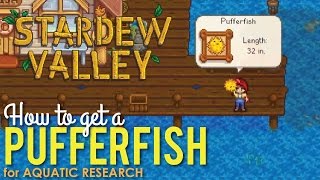 How to get a Pufferfish in Stardew Valley, Aquatic Research screenshot 4