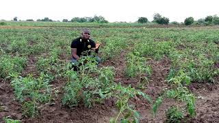 Crop Protection and Safe Use of Pesticide Training Course_ COLEACP FFM