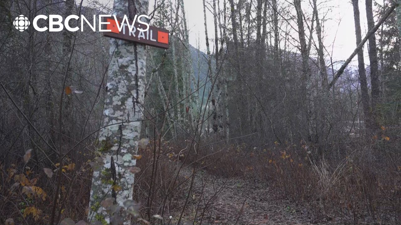 Conservation officers now searching for 3 grizzlies after attack on school group