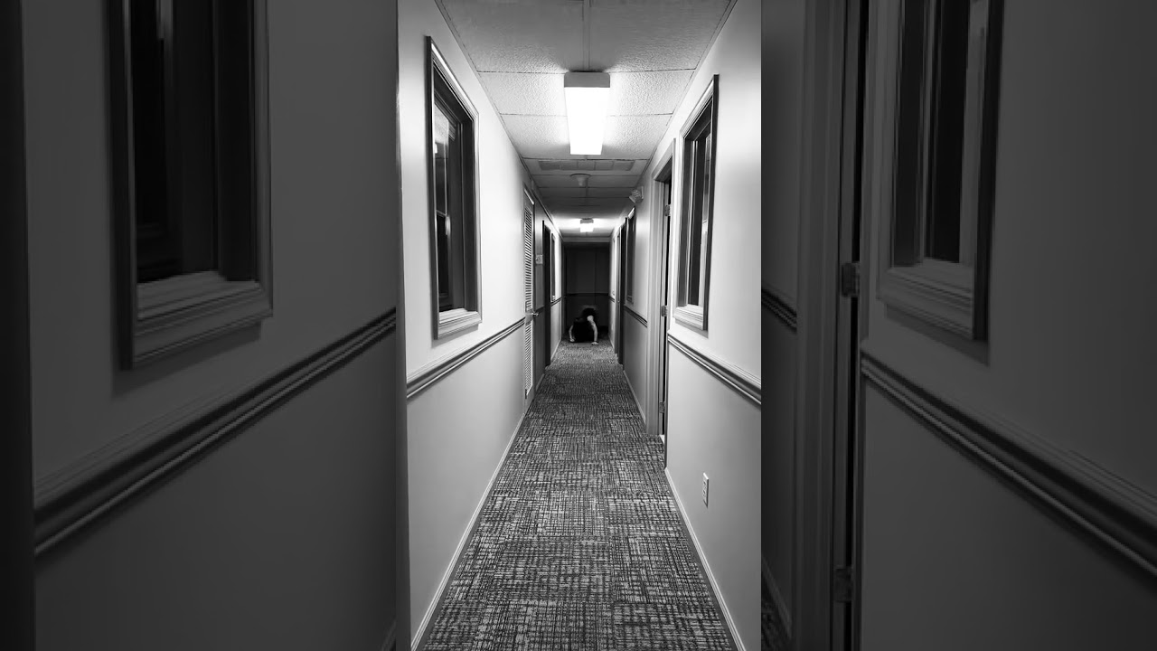 Who is ready for 𝕊𝕡𝕠𝕠𝕜𝕪 𝕊𝕖𝕒𝕤𝕠𝕟? 🎃 🍂🕸️🕷️ 