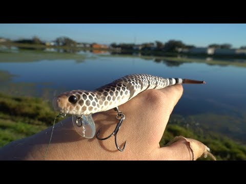 Snake Lure 