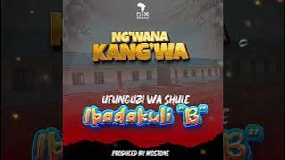 Ng'wana Kang'wa - Ufunguzi wa shule Ibadakuli 'B' (Audio Visualizer)