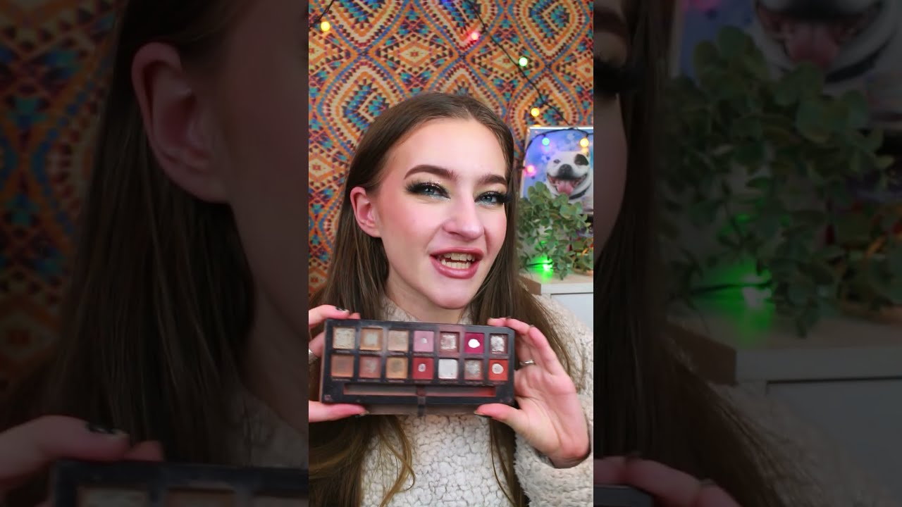 MY MOST USED EYESHADOW PALETTES IN WHOLE COLLECTION Shorts Eyeshadow Makeup Projectpan