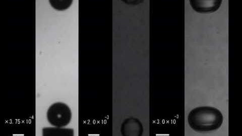Shape oscillation of bubbles in the acoustic field