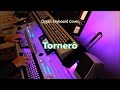 Torner  organ  keyboard cover chromatic